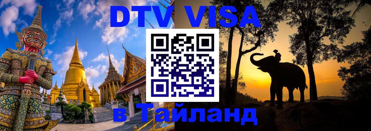Оформление DTV визы под ключ: стоимость и тарифы, только загранпаспорт - 